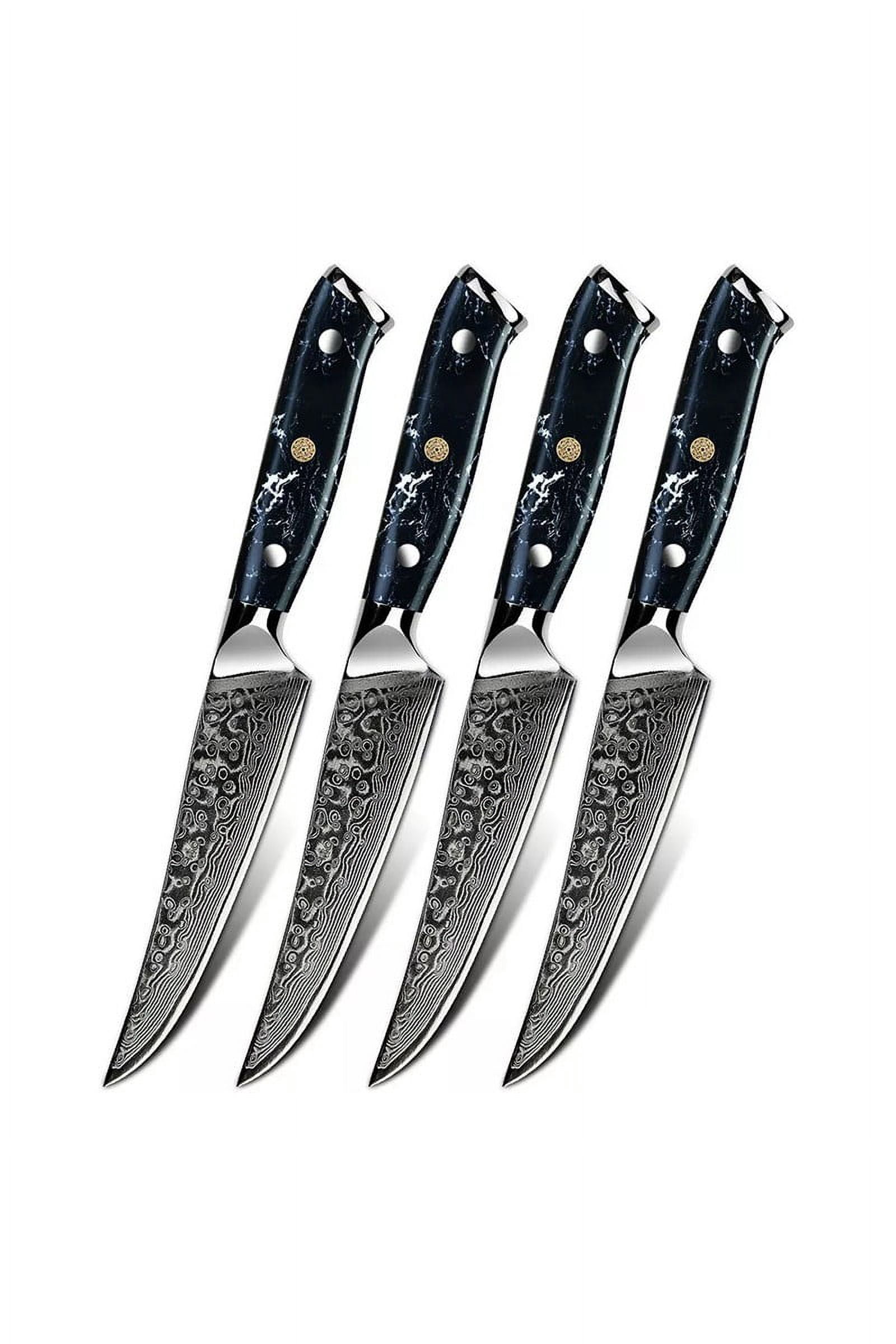 Damascus Steak Knife Set Of 4 - TransShell