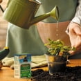 thumbnail image 2 of Schultz® All-Purpose Liquid Plant Food 10-15-10 150 g, 2 of 4