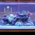 thumbnail image 3 of Miangastore Fish Tank Planter Cup Aquarium Planter Creative Acrylic Planter Clear Design Fish Tank Planter, 3 of 6