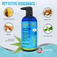 thumbnail image 2 of Pura D'or, Scalp Therapy Shampoo, 16 fl oz (473 ml), 2 of 6