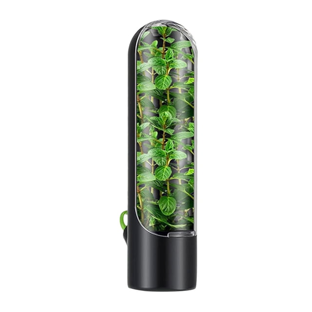 Solution de Rangement Alimentaire pour Réfrigérateur Contenants de Capsules Fraîches Garde les Légumes Frais Coriandre Persil Asperges
