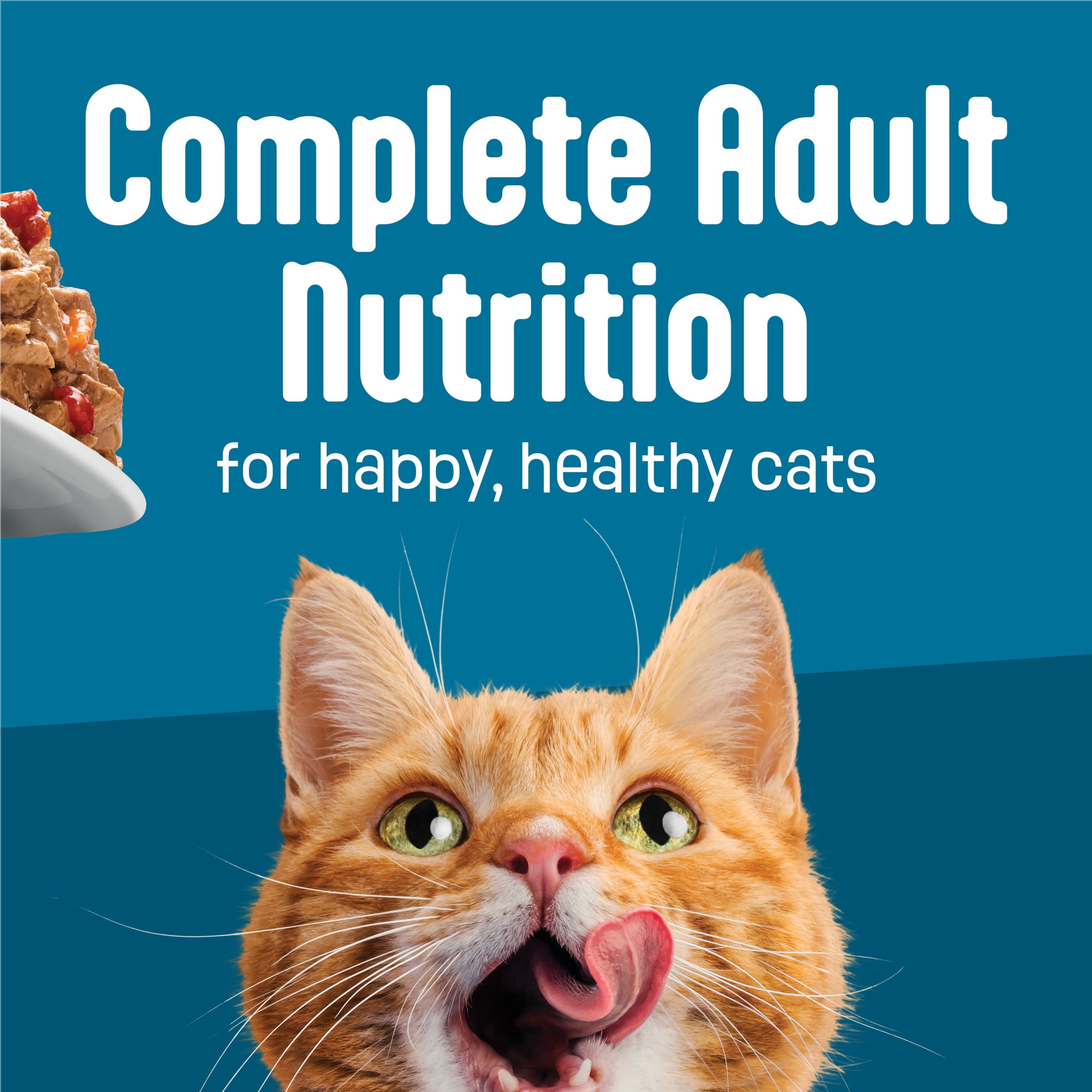 Friskies Fully Load'd Poulet en Sauce, Nourriture Humide pour Chats, 156 g