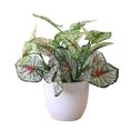 thumbnail image 1 of serony Artificial Potted Plant Leaf Simulation Leaves Home Office Desktop Greenery Decoration, Plant Type 16, 1 of 7