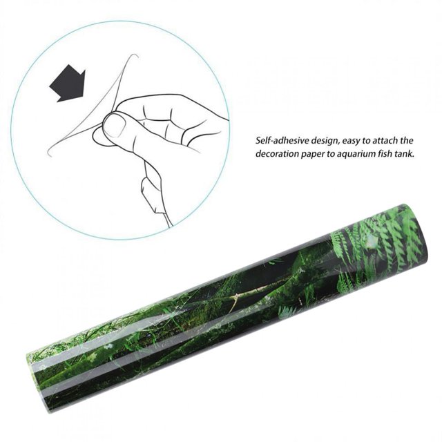 PVC Reptile Box, Poster Fish Wall Reptile Background Aquarium Rainforest Background Picture Painting Decoration Self Adhesive Sticker91x50cm