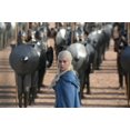 thumbnail image 5 of Game Of Thrones: The Complete Third Season (Blu-ray + DVD + Digital Copy), 5 of 5