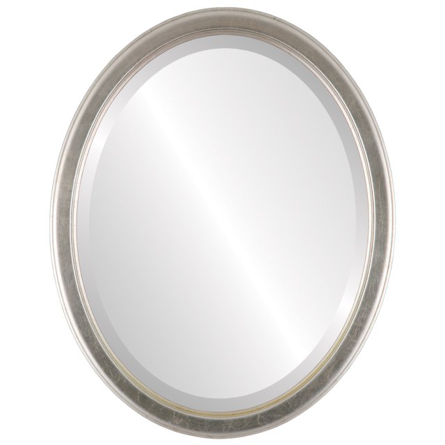 Toronto Framed Mirror - Silver Leaf with Brown Antique