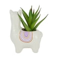 thumbnail image 3 of Anko Llama Artificial Succulent, 3 of 6