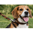 thumbnail image 3 of Brown Leather Dog Leash – Size Small & Medium Pets- by North Care, 3 of 4