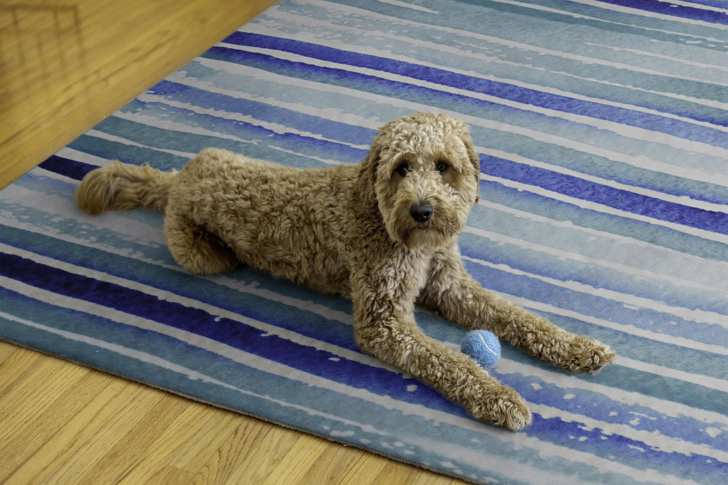 Tapis lavable Janna 5 pi x 7 pi ivoire et bleu