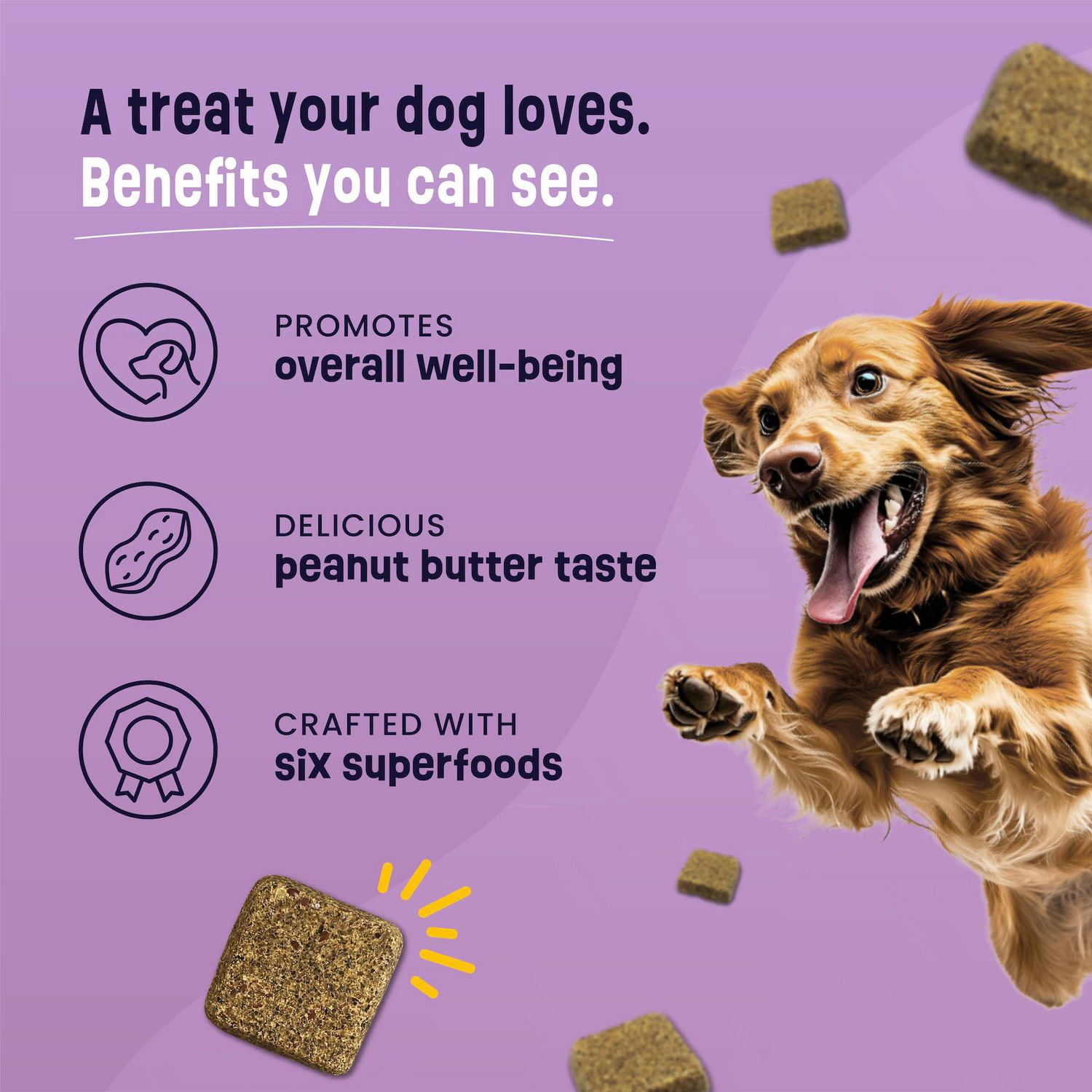 Gruffies Original Biscuits pour Chien