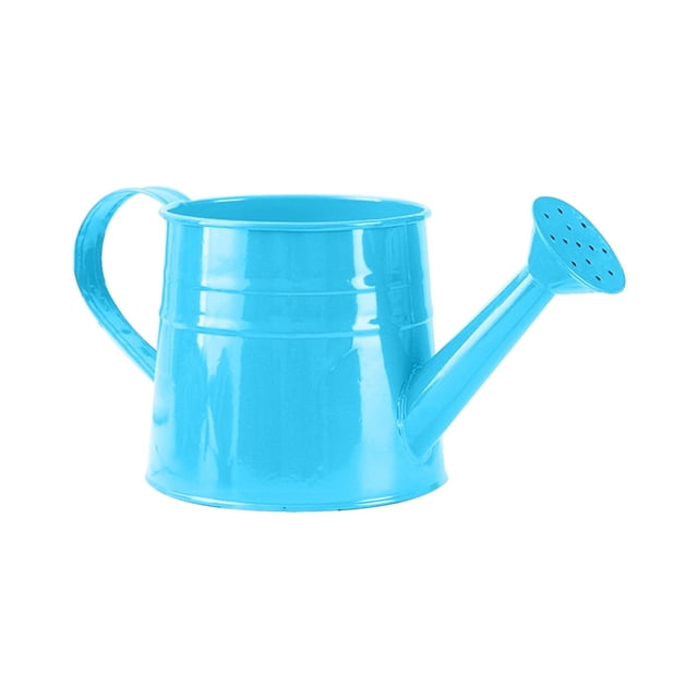 Boiling Water Kettle Mini Kettle Water Boiler Glass Coffee Server Glass Kettle with Temperature Glass Stove Top Kettle Glass Kettles for Boiling Water Stove Top Galvanized Shower Bucket Tinplate