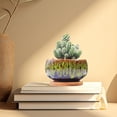 thumbnail image 4 of Circular Glazed Ceramic Planter Set with Unique Kiln-Varied Color Blend for Indoor Display Succulent Garden Display and Home, 4 of 5