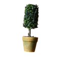 thumbnail image 1 of Elodie Artificial Potted Flower Bonsai Plastic Plant Tree for Table Desktop Garden decorative creative Gifts 4, 1 of 8