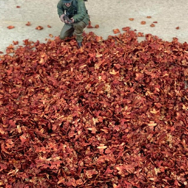 pitrice Miniature Leaf Diorama for Model Railroad Micro Landscape Architecture Model dark red