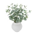 thumbnail image 3 of Anko Artificial Eucalyptus Stems in Vase, 3 of 5