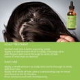 thumbnail image 4 of Mielle Organics Rosemary Mint Scalp & Hair Strengthening Oil (1pc), 4 of 7