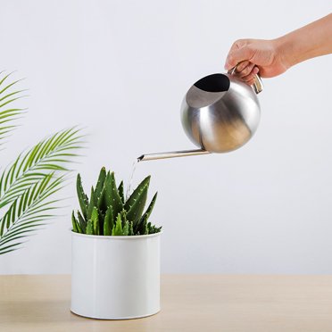 RKSTN Storage and Organization Stainless Steel Watering Can - 1L Metal Watering Can With Long Spout To Spillage, Perfect Plant Watering Can For Outdoor And Indoor Plants Storage Bins