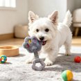 thumbnail image 4 of Interactive Toy Squeak Toy Stuffed Chew For Small To Shape Chew, For Daily Walks And Car Rides, 4 of 7