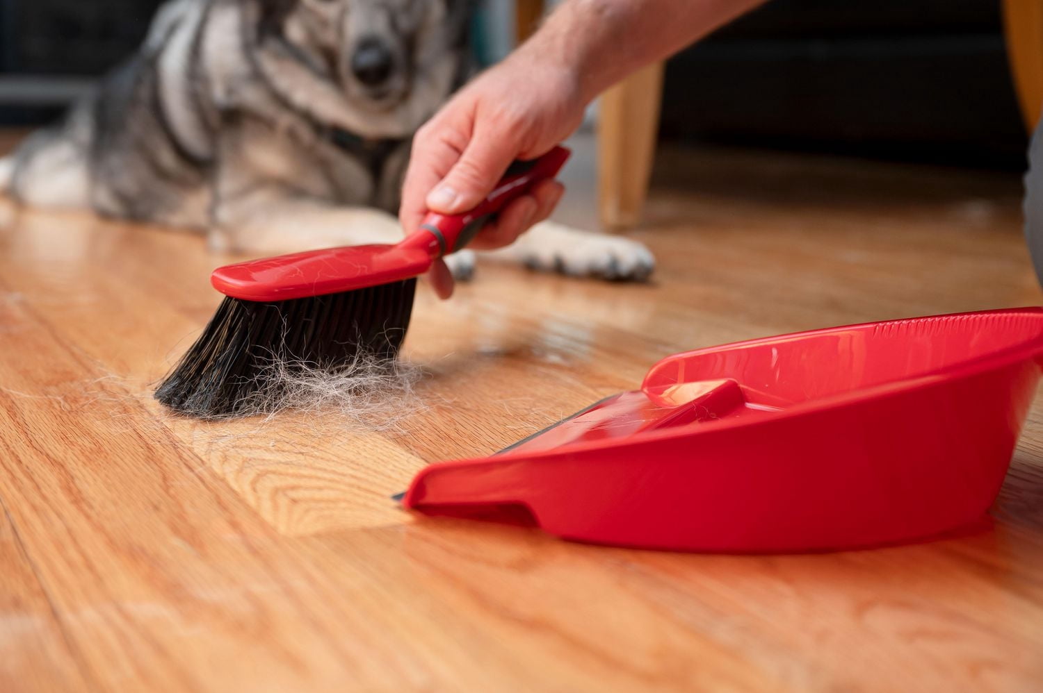 Vileda Dustpan Set - Soft Bristle Brush, Compact Size