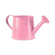 Modern Metal Watering Can for Indoor and Outdoor Gardening Use with Ergonomic Handle and Efficient Sprinkler Spout