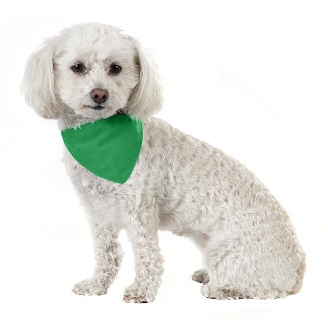3 Pack Solid Cotton Dog Bandana Triangle Bibs - Small & Medium Pets (Green)