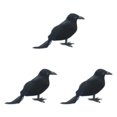 thumbnail image 1 of Shengyu Simulation Crow Animal Model - Halloween Party Decoration With Festive Ambiance Straight crow 3Set, 1 of 6