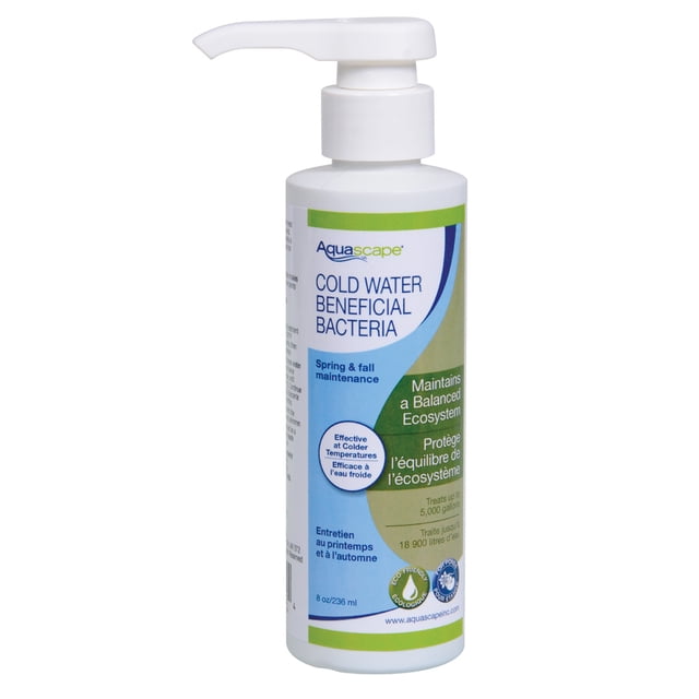 Aquascape Cold Water Beneficial Bacteria (Liquid) - 8 fl oz bottle with a pump top, designed for use in ponds with water temperatures as low as 35°F (2°C). The bottle features a green and blue label with details about its ability to maintain a balanced ecosystem, treat up to 5,000 gallons, and provide clean, clear water. Contains 7 pure strains of beneficial bacteria at 1.5 billion CFU per ounce. Safe for fish, plants, pets, and wildlife.
