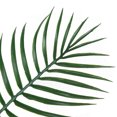 thumbnail image 4 of kurtrusly 10pack/lot Experience Beauty Of Nature With Artificial Plants For Home Decor A00265 1Set, 4 of 6