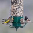 thumbnail image 4 of SDOTXA Mangeoire à Oiseaux Anti-Écureuil Capacité 5Lbs Rotative pour Extérieur Suspendue, 4 of 6
