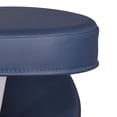 thumbnail image 3 of Master Ergonomic Steel Kneeling Chair PREFECT FOR Home, Office & Meditation with Royal Blue, 3 of 4