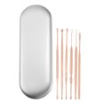 thumbnail image 1 of Unique Bargains 6Pcs Stainless Steel Ear Cleansing Tool Set Ear Cleaner Ear Care Set with Storage Case Rose Gold Tone, 1 of 7