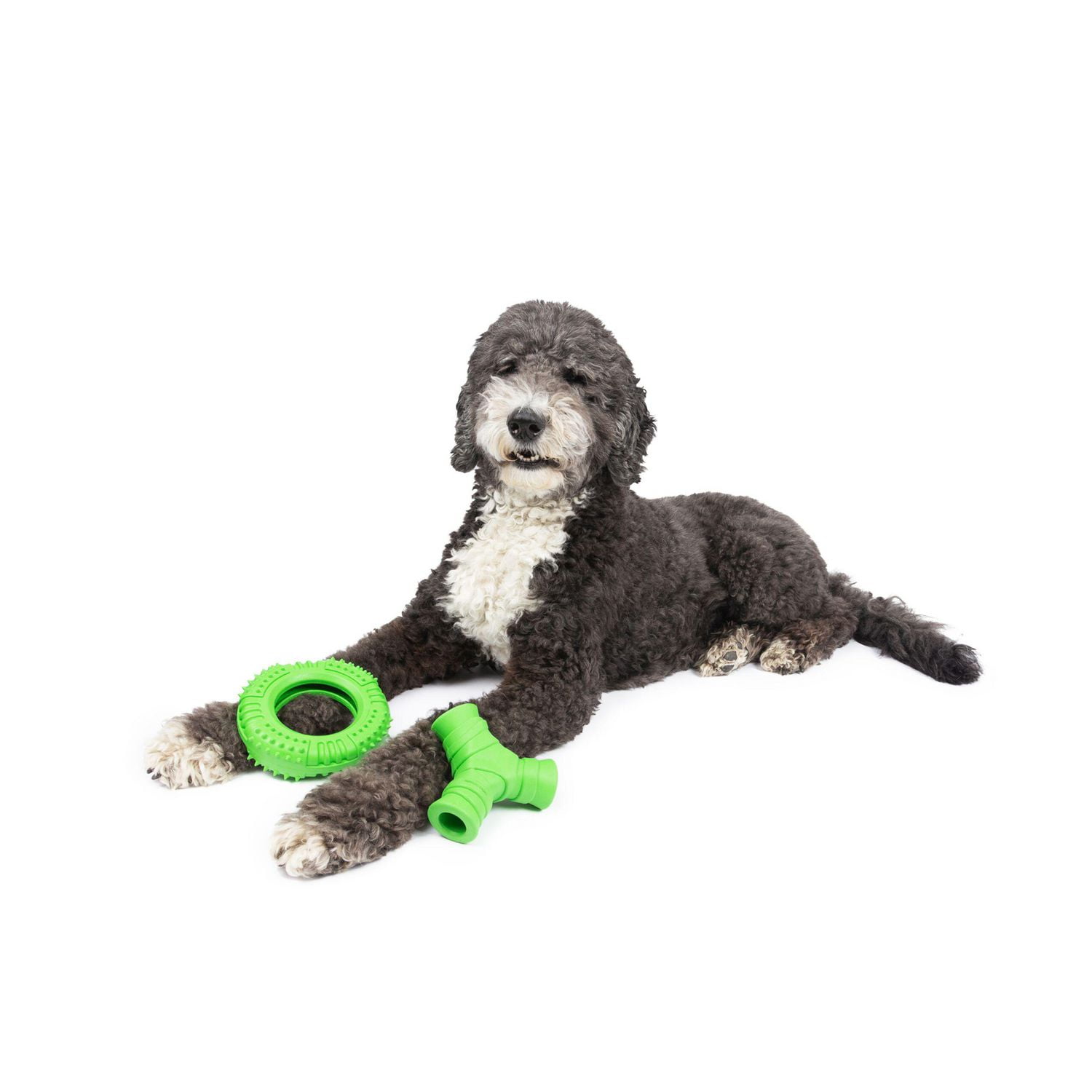 One Paw , Lot de 2 Jouets à Mâcher en Caoutchouc pour Chien, Grand, Distributeur de Gâteries, Fabriqué en Caoutchouc