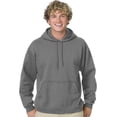 thumbnail image 1 of Hanes Chandail à Capuchon en Molleton ComfortBlend EcoSmart pour Hommes, TTG, Gris Fumée, 1 of 2