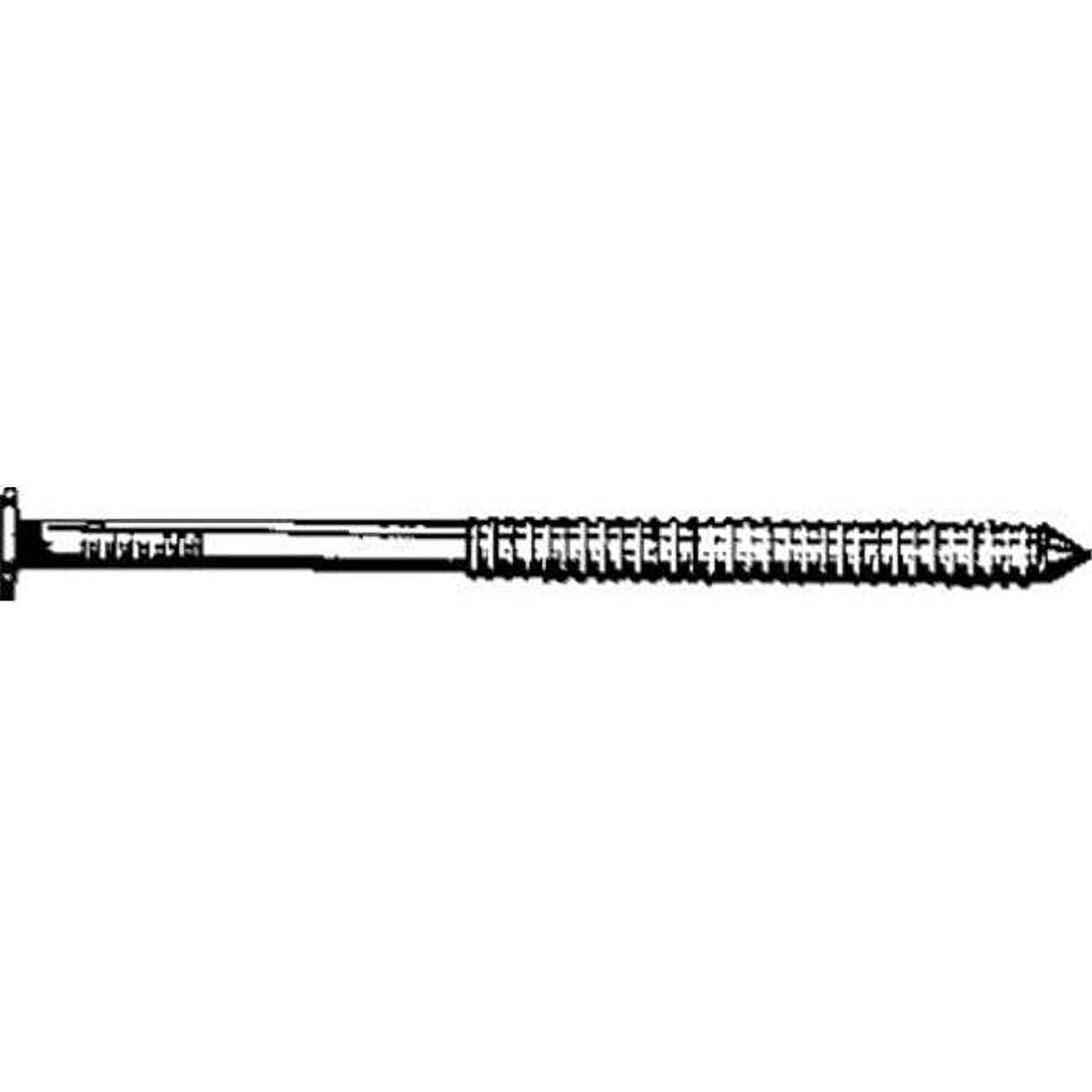 Maze Nails T449A125 10D Pressure Treated Wood Nail