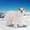 A, variant on EGNMCR Models Realistic Large Dinosaur Statues Jungle Toys Penguin figure Birthday Gifts for Kids