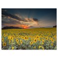 thumbnail image 2 of Sunflower Sunset with Cloudy Sky - Large Landscape Canvas Art, 2 of 3