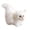 A, variant on Meitianfacai Realistic Cat Toys Plush Toys Realistic Cat Stuffed Animal Cute Animal Plush Birthday Holiday Gift Toys for Boys Girls 3-12 Years