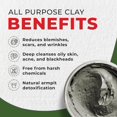 thumbnail image 3 of Powerful Deep Pore Cleansing Clay by Mayan Magic Mud for Unisex - 16 oz Cleanser, 3 of 5