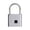 Silver, variant on Naittoop Padlock Fingerprint Digital Lock Portable Security For Cabinet Gym Door Luggage Suitcase Bags Lockers Backpack