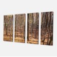 thumbnail image 2 of Thick Carpathian Deciduous Forest - Forest Canvas Art Print, 2 of 3