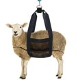 thumbnail image 4 of DOLITY 200lbs Small Animal Weighing Strap Scale Lambs Calf Adjustable 60x40cm, 4 of 9