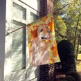 thumbnail image 2 of Carolines Treasures BB9975CHF Labrador Retriever Drapeau d'Automne - Taille de la Maison de Toile, 2 of 4