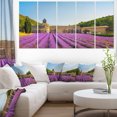 thumbnail image 1 of Abbey of Senanque Lavender Flowers, 1 of 3