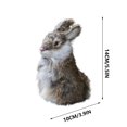 thumbnail image 3 of Hxlamzoo Jouets pour Enfants Pâques Modèle de Simulation Simulation Modèle de Vrai Lapin Jouets Liquidation, 3 of 8