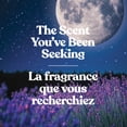 thumbnail image 3 of Bougie en pot parfumée Yankee Candle, collection Studio, 3 of 7
