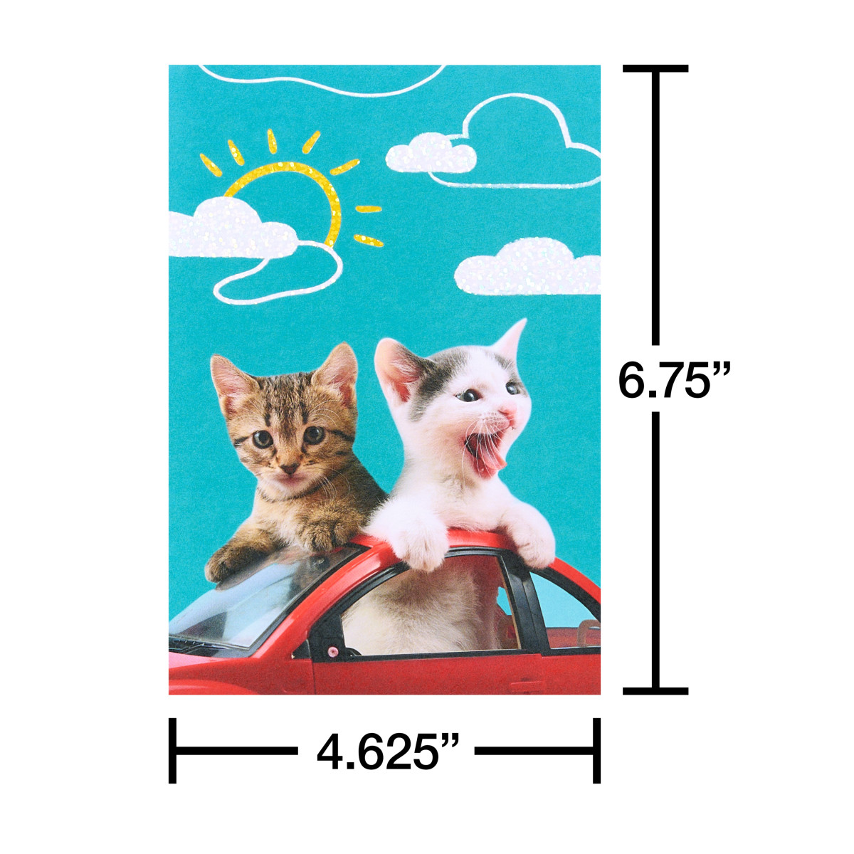 American Greetings - Assortiment en boîte de 15 cartes sans texte et enveloppes, Chats rigolos