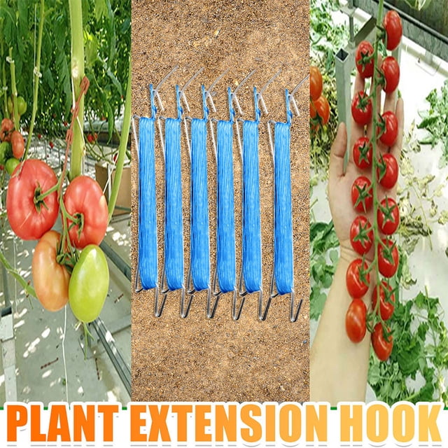 RKSTN Outil pour la Maison Crochet pour Tomate Pinces de Support pour Tomate Support de Légumes pour Tomate à Pincer