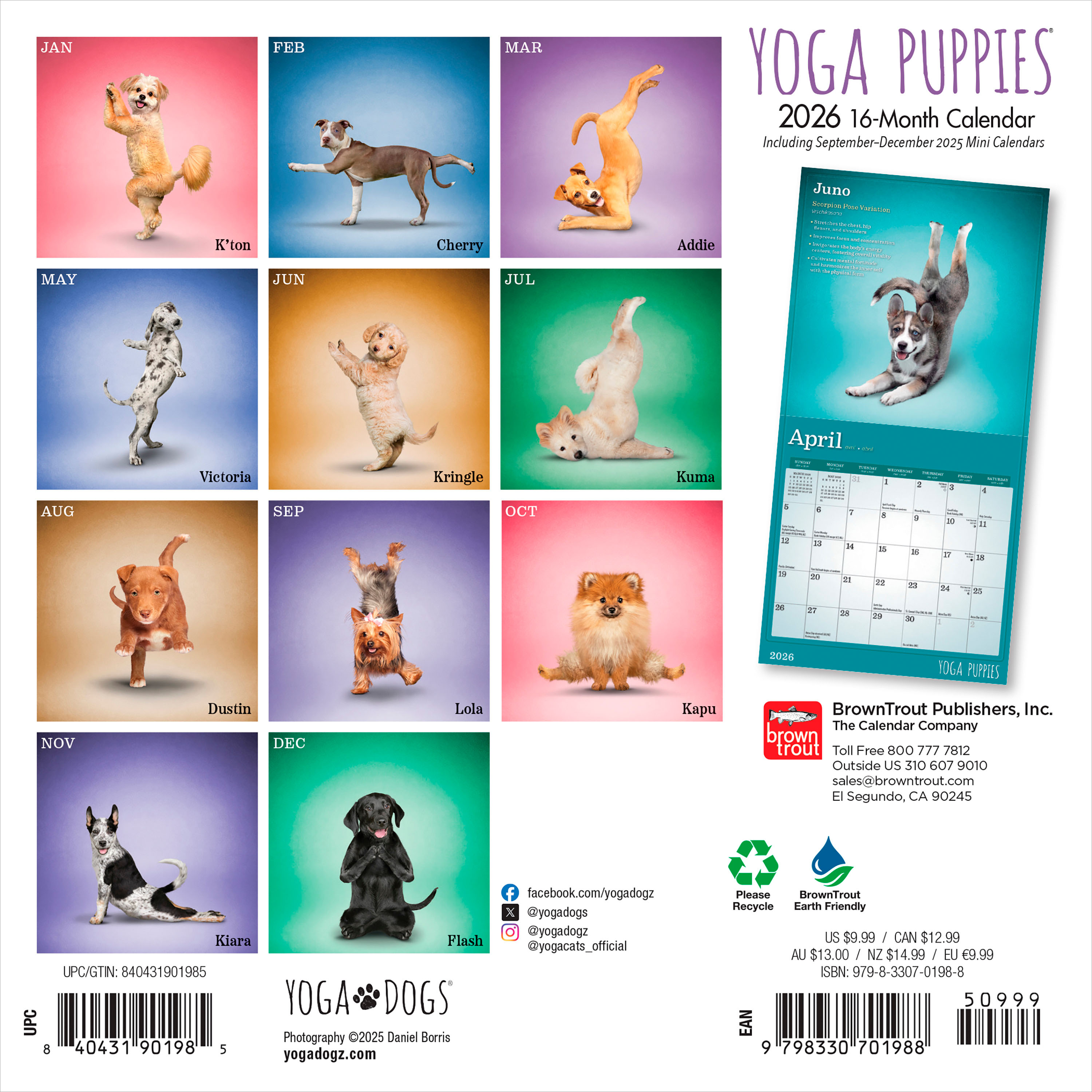 Yoga Chiots 2026 Mini 7x7