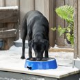 thumbnail image 4 of Farm Innovators Signature Series Bol Chauffant pour Animaux de Compagnie 3 Qt avec Insert en Acier, 4 of 9