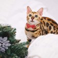 thumbnail image 4 of Lot de 2/ensemble Collier pour Chat à Dégagement Rapide avec Mignon Nœud Papillon et Clochette à Carreaux Fleur pour Minou Sécurité Ajustable, 4 of 9